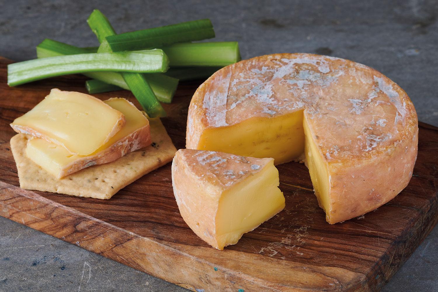 Evenlode British Cheese