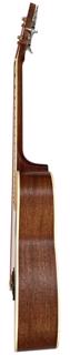 Chord Electro-Acoustic Short-Scale 4 Strin 