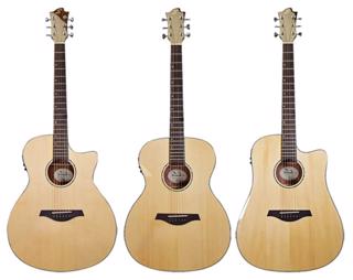 Sevinia Electro-Acoustic Guitar with Solid 
