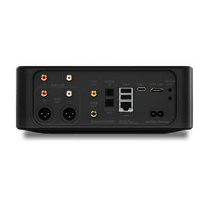 Bluesound N530 NODE ICON