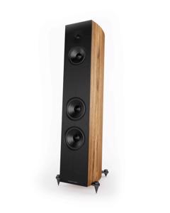 Acoustic Energy Corinium Loudspeaker