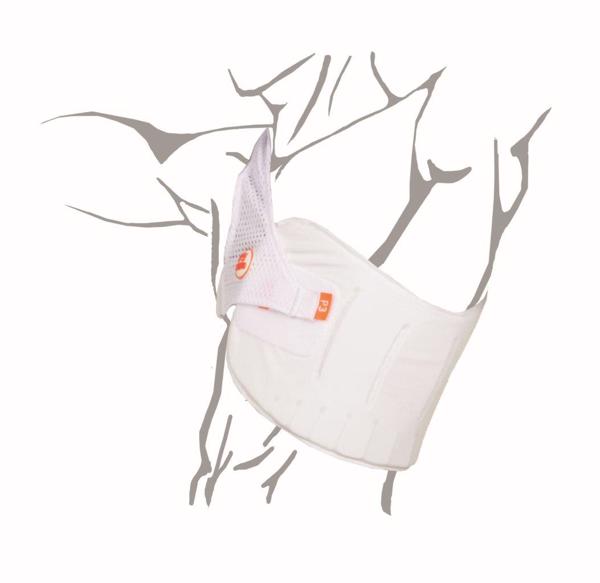 Aero P3 Cricket Chest Protector v2 JUN 