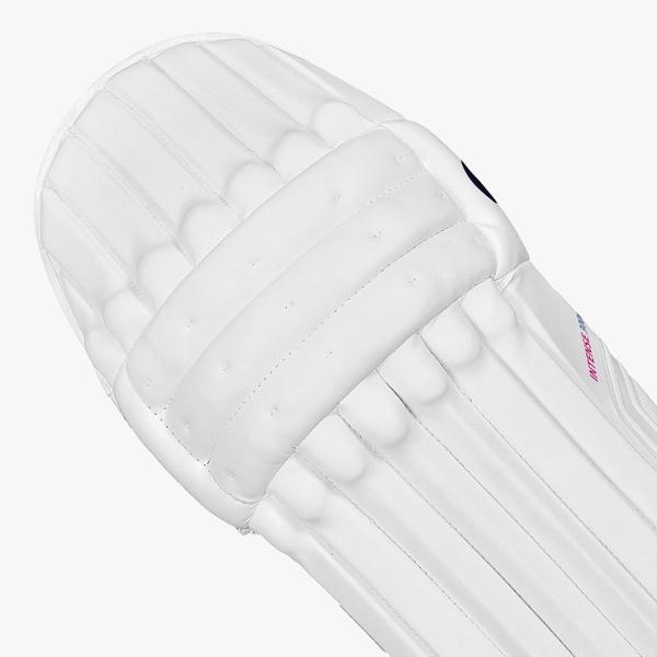 DSC Intense 3000 Batting Pads 