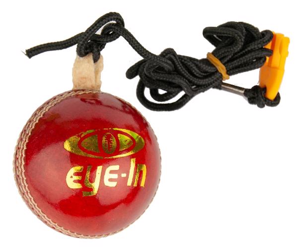 Eye In Hanging Cricket Ball 