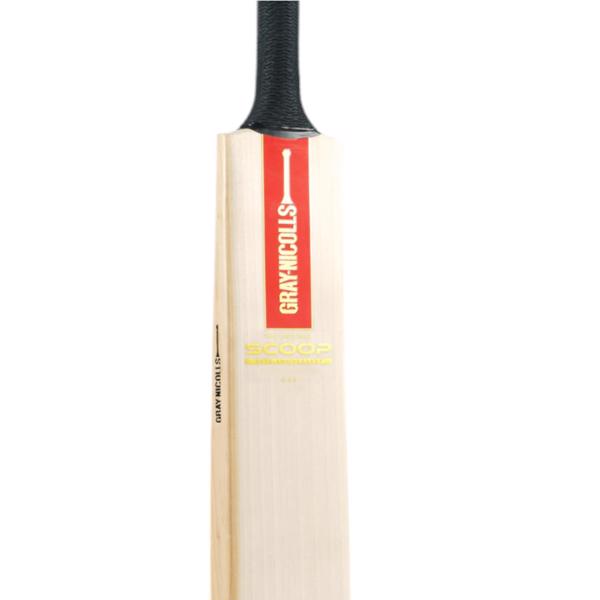 Gray Nicolls Scoop 50 Classic Cricket  