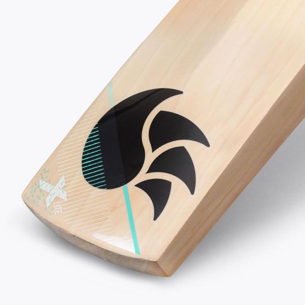 DSC X Lite 3.0 Cricket Bat 