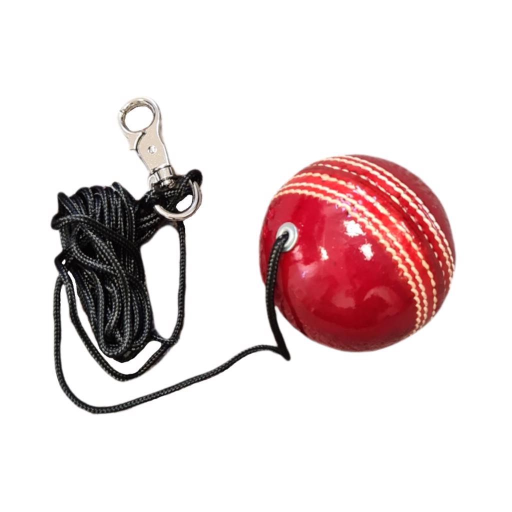 The V Batting Net Cricket Ball RED 156g SENIOR