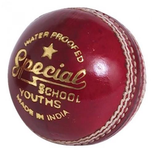 Readers Special School Cricket Ball, Junior