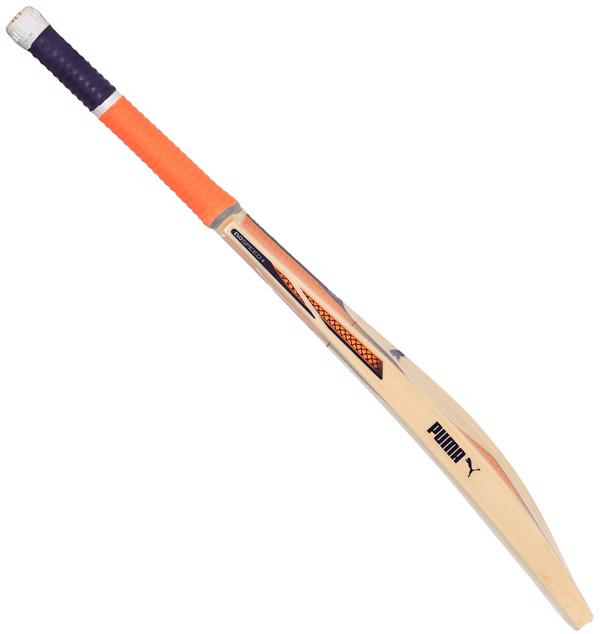 puma evospeed junior cricket bat