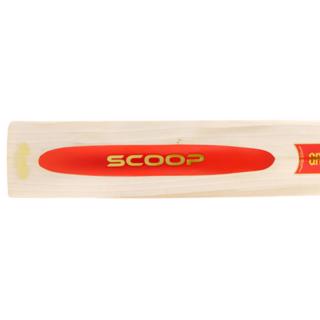 Gray Nicolls Scoop 50 Players Cricket  