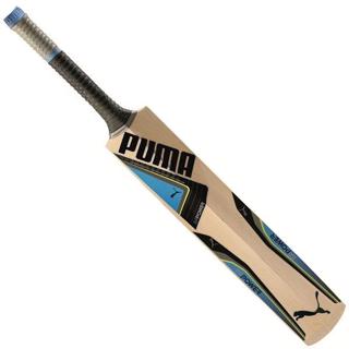 Puma evoPOWER 2Y Cricket Bat JUNIOR - CRICKET BATS