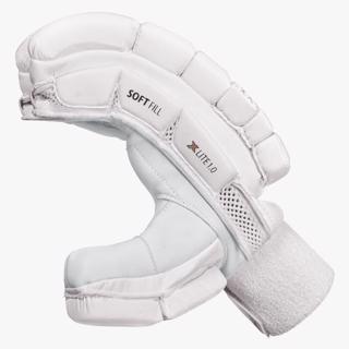DSC Xlite 1.0 Batting Gloves  