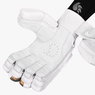 DSC Xlite 1.0 Batting Gloves  