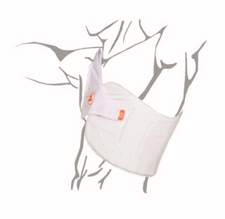 Aero P3 Cricket Chest Protector v2 JUN 