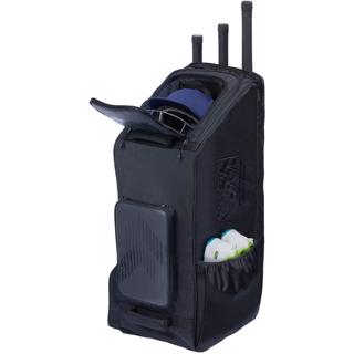 Gunn & Moore PLAYERS Edition Cricket%2 