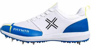 Payntr V Spike Cricket Shoes JUNIOR BL 