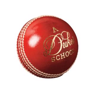 Dukes School Cricket Ball - JUNIOR 