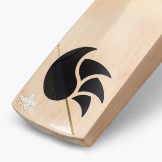 DSC X Lite 1.0 Cricket Bat  