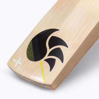 DSC X Lite 4.0 Cricket Bat 