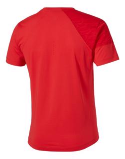 Asics Springboks Training T-Shirt RED 