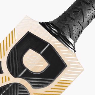 DSC XLite 1.0 Cricket Bat 