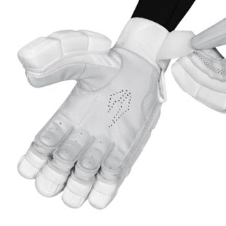 DSC XLite LE Batting Gloves 