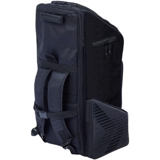 Gunn & Moore PLAYERS Edition Cricket%2 