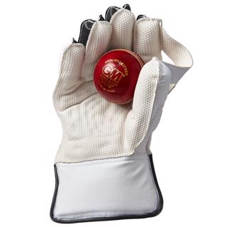 Gunn & Moore AION WK Gloves JUNIOR 