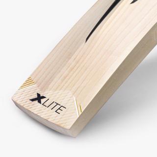 DSC XLite 1.0 Cricket Bat 