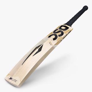 DSC XLite 1.0 Cricket Bat 