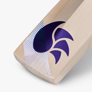 DSC Blu 5000 Cricket Bat 