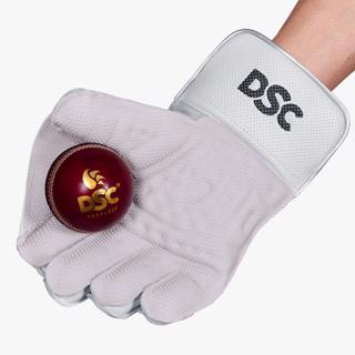 DSC Xlite L.E. WK Gloves STANDARD 