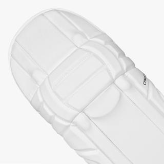 DSC Cynos 22 Batting Pads COMPACT 