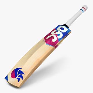 DSC Intense 4000 Cricket Bat 