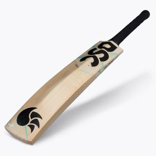 DSC X Lite 3.0 Cricket Bat 