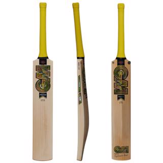 Gunn & Moore PSYCHE 808 Cricket Bat% 