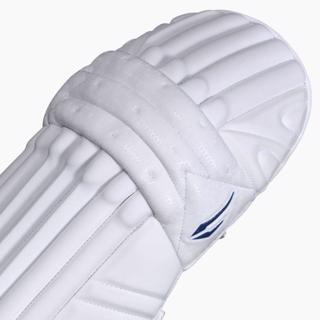 DSC Pearla Pro Batting Pads 