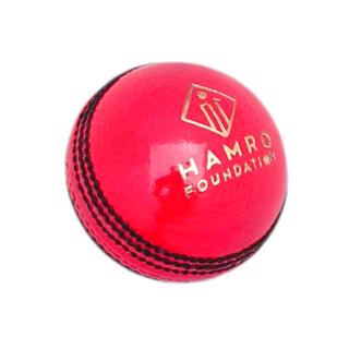 Dukes HFECL Cricket Ball 156g PINK,  