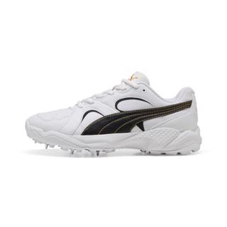 Puma Legacy Half Spike Cricket Shoes W 