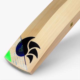 DSC Spliit 6000 Cricket Bat JUNIOR 