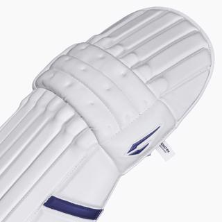 DSC Pearla X2 Batting Pads 