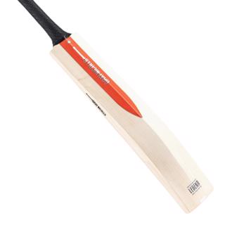 Gray Nicolls LEGEND SILVER Cricket Bat 