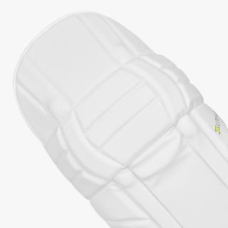 DSC Xlite 4.0 Batting Pads 