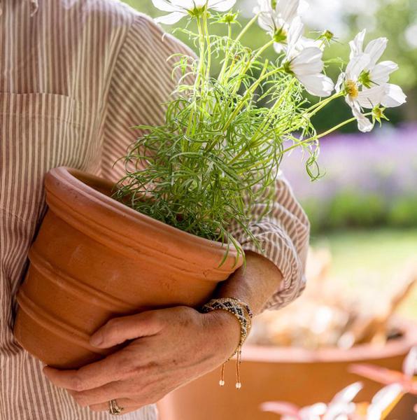 Florentine Round Pot Planter - Terracotta