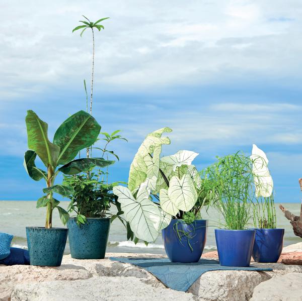 Azulejos Blue Pot