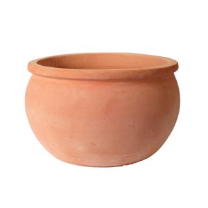 Lagoon Bowl White