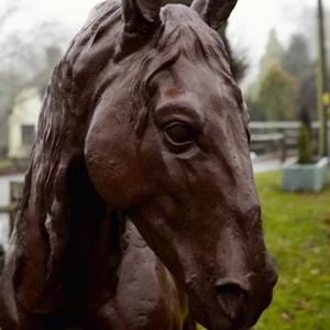 Cast Iron Lifesize Proud Horse  Statue - 1900mm High
