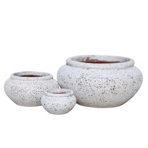 Glazed Ceramic Classic Bowl - White Coral