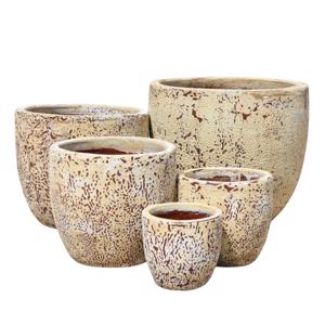 Glazed Ceramic Classic Egg Pot - White Atlantis