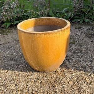 Glazed Egg Pot Planter - Gold